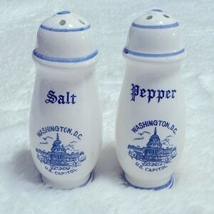 Vintage Salt & Pepper Shaker Pair Washington DC Tourist Souvenir Set MCM Unique